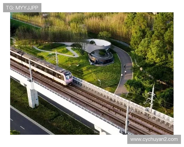 北京篮球队转型之路的挑战与机遇全景分析