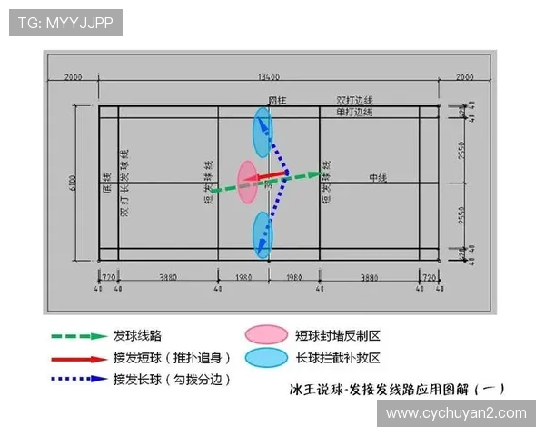武汉羽毛球队与杭州羽毛球队赛后战术分析与总结探讨